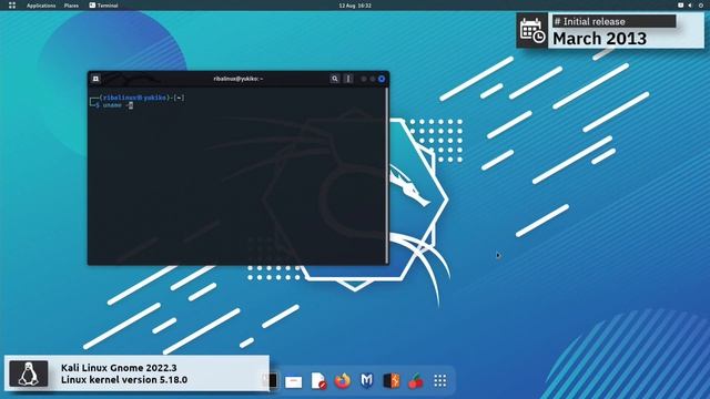 Kali Linux Gnome 2022.3 overview | The most advanced Penetration Testing Distribution. смотреть онлайн