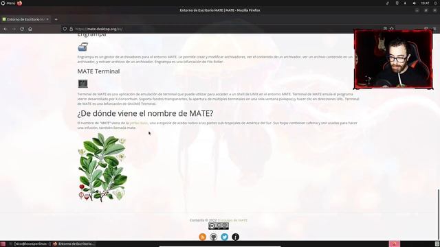 Ubuntu Mate 22.04 LTS | Jammy Jellyfish смотреть онлайн