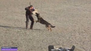 Наше выступление по IGP - 1 C-93. Диверсия фом хаус КоГор