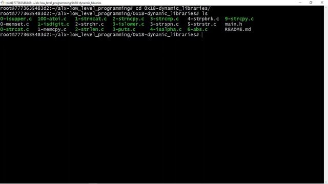 0x18 C Dynamic libraries смотреть онлайн