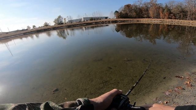 Google Maps Fishing Challenge смотреть онлайн