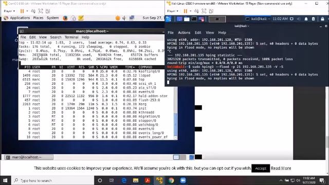 How To Do a Flood Attack With Hping3 смотреть онлайн