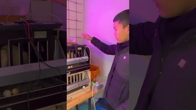 В Горном районе Якутии школьник открыл собственную умную ферму смотреть онлайн