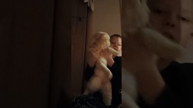 1000012163.mp4 смотреть онлайн