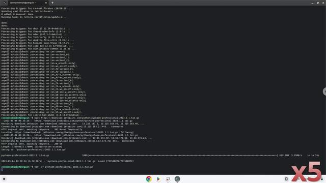 How to install PyCharm Professional Edition on a Chromebook in 2023 смотреть онлайн