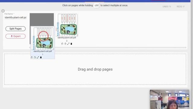 Split and Merge and PDF file using Kami смотреть онлайн