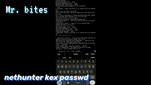 How to install Kali Linux in Android using termux [Nethunter Kex] 2023 смотреть онлайн