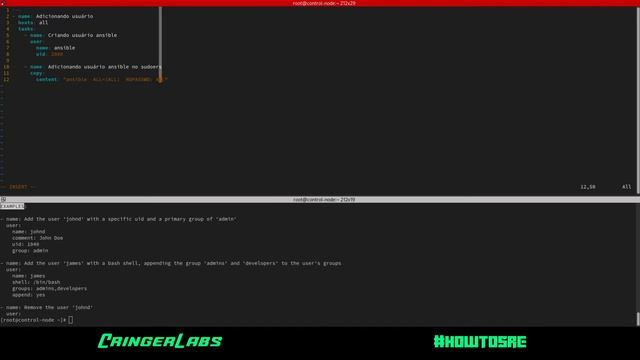 #HowToSRE - Ansible - Parte01 смотреть онлайн