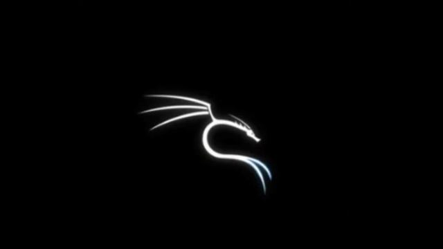 Kali linux ⚠️ Hacker ☣ status.. смотреть онлайн