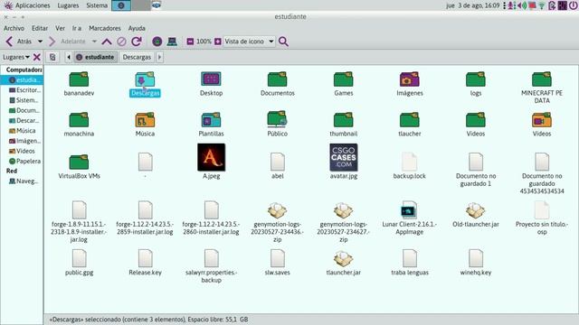 TUTORIAL DE COMO INSTALAR LUNAR CLIENT EN LINUX смотреть онлайн