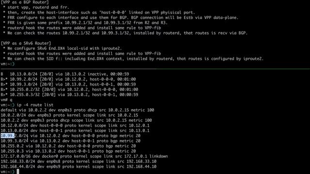 VPP Router DEMO (BGP, SRv6) смотреть онлайн