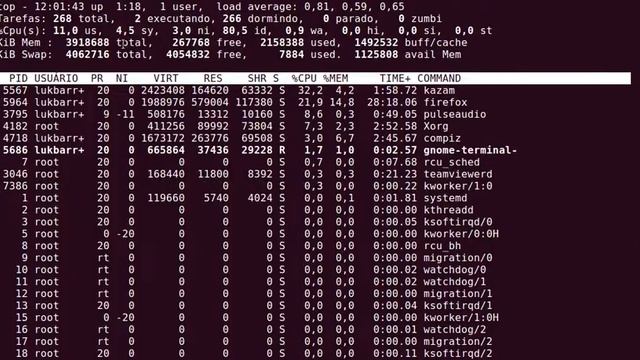 Monitorando processos rodando no Linux via terminal - Comando TOP смотреть онлайн