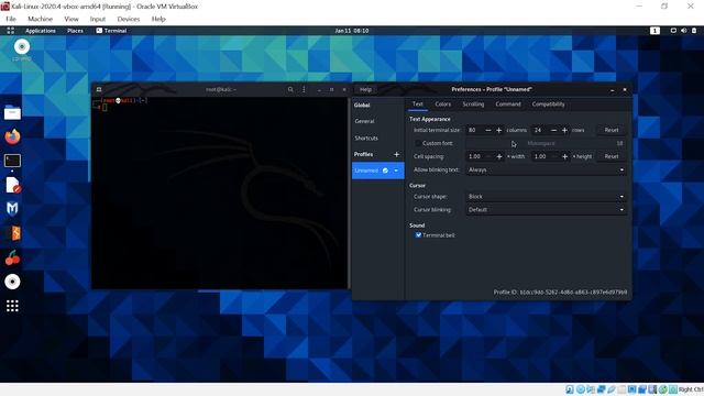 How to change the font size of terminal in Kali Linux | #Infosys_Force смотреть онлайн