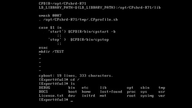 Running Commands or Scripts in CheckPoint SPLAT Starting смотреть онлайн