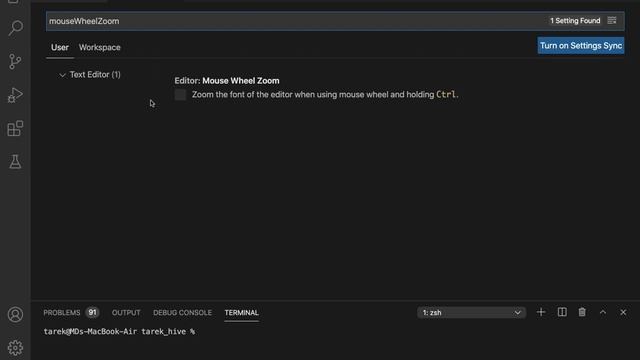 Enable Mouse Wheel Zoom in Visual Studio Code Setup - Zoom In - Zoom Out with Keyboard or Mouse смотреть онлайн