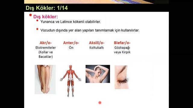 Kökler Yüksel AYDAR смотреть онлайн