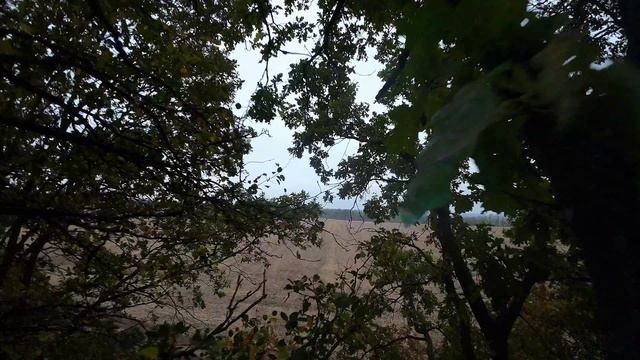 осень