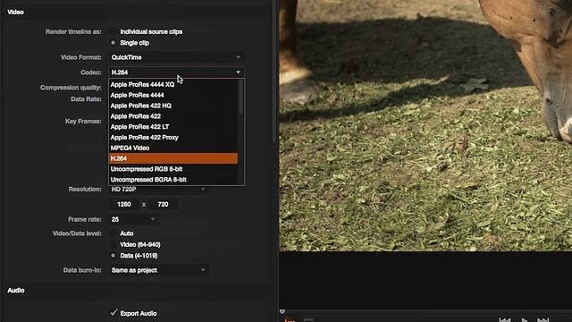 Blackmagic DaVinci Resolve - 12) DaVinci Resolve Export Options смотреть онлайн