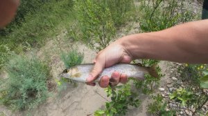 Рыбалка на реке таежной реке