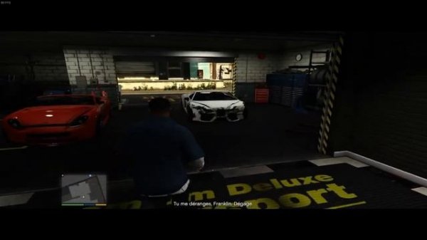 GTA V on Linux