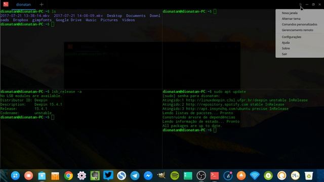 5 coisas FANTÁSTICAS na interface do DEEPIN Linux смотреть онлайн