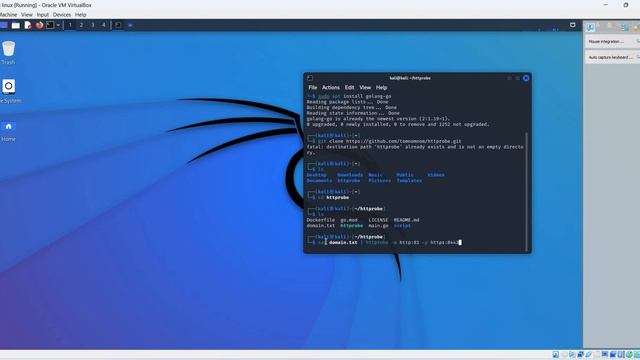 tomnomnom/httprobe | how to install |use | install GOLang |walkthrough смотреть онлайн