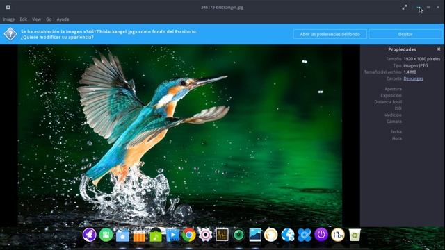 Linux DEEPIN смотреть онлайн