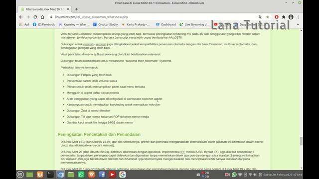 Linux Mint 20.1 Ulyssa REVIEW gnu/linux Ubuntu смотреть онлайн