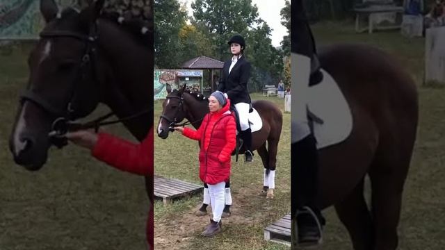 Соревнования по Конному спорту смотреть онлайн