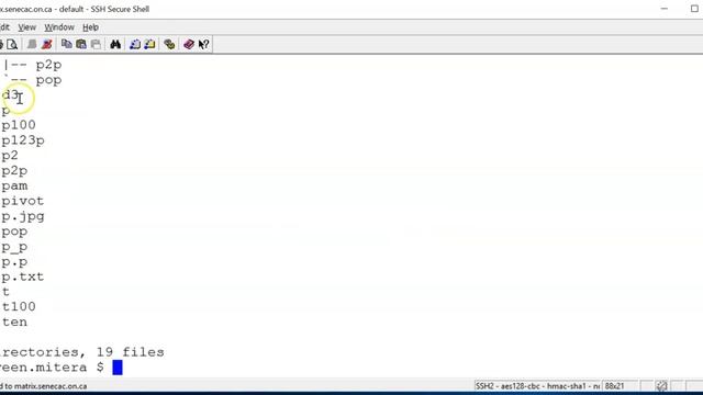 Linux: Managing Directories смотреть онлайн