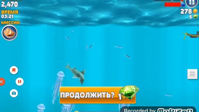 Hungry Shark🐳🐋 смотреть онлайн