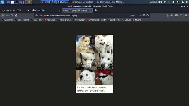 Image Viewer (Forensics Challenge) | Author: StephenCurry396 | Cyber Yoddha CTF смотреть онлайн