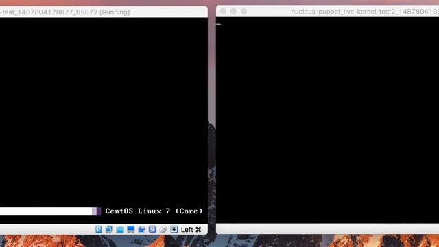 CentOS 7: live kernel patching with kexec, timing benchmark смотреть онлайн