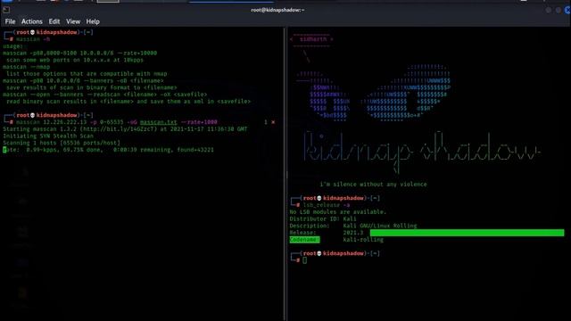 Masscan - fastest port scanner tutorial #bugbounty #3 tool [practical] смотреть онлайн