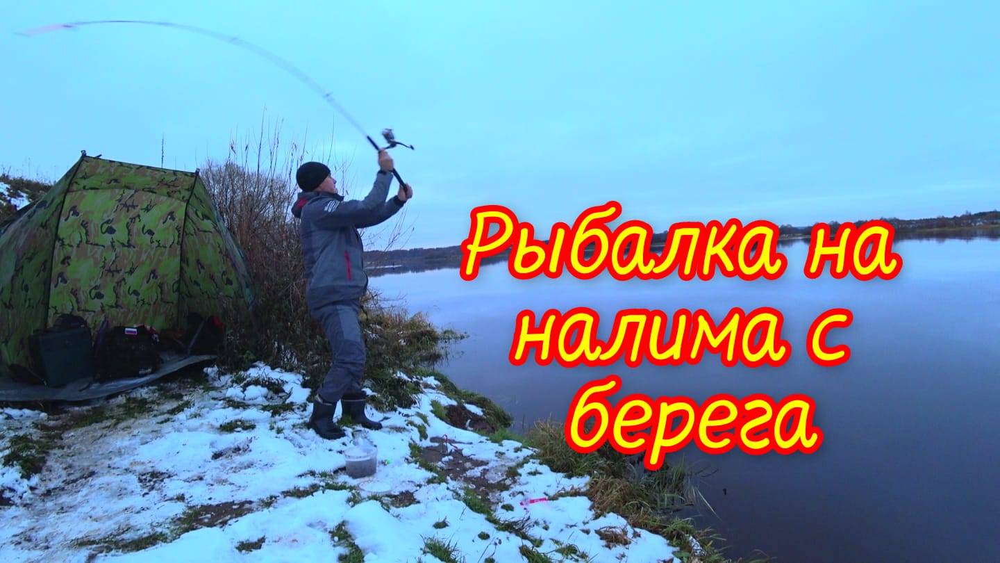 Налимы!!! На донку осенью смотреть онлайн