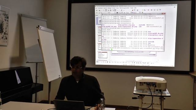 Webseiten Screenshots mit Python automatisieren смотреть онлайн