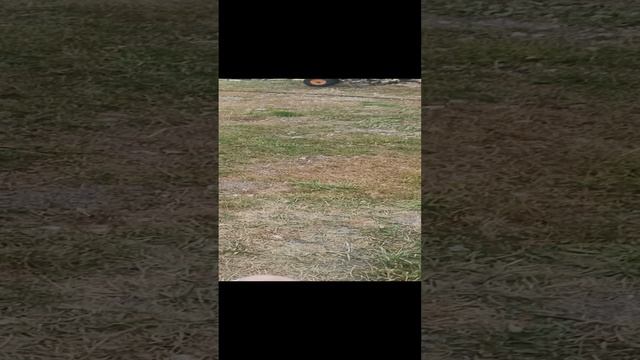 приболела нога, работа встала