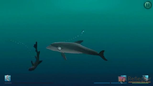 "I Am Dolphin" iOS Gameplay Video - Bandit vs. Hammer Shark and 2 Dogfish смотреть онлайн