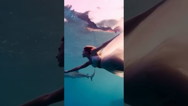 Swimming among sharks смотреть онлайн