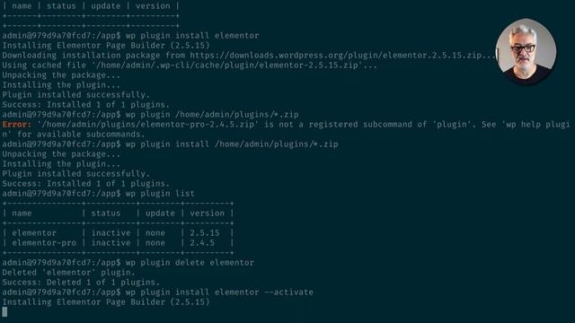 Install and License Elementor Pro from the Command Line! смотреть онлайн
