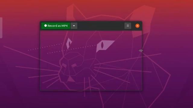How to install Peek 1.5.1 on Ubuntu 20.04 смотреть онлайн