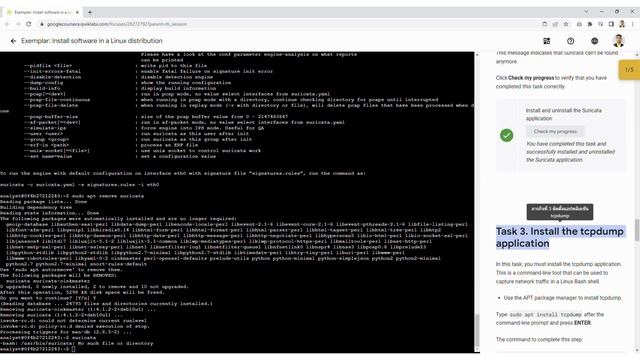 Exemplar: Install software in a Linux distribution смотреть онлайн