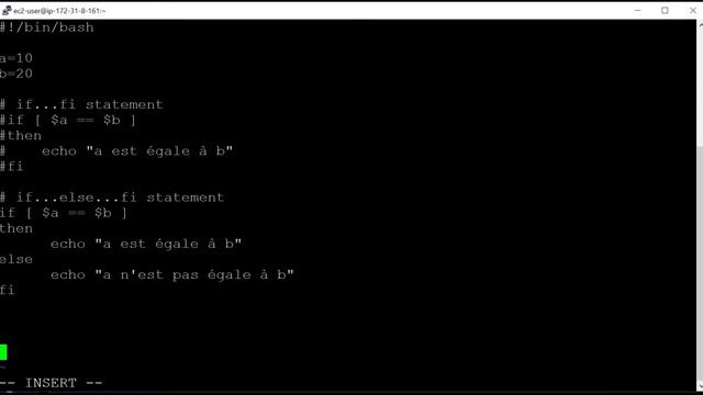 Linux - Shell Scripting 'if statements' смотреть онлайн