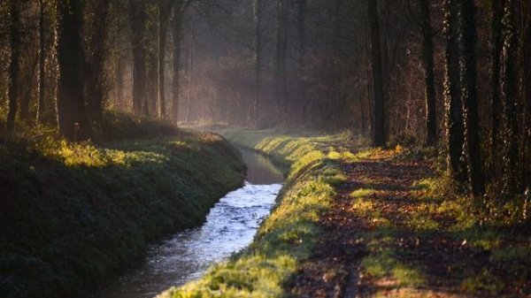 Wayfire on archlinux