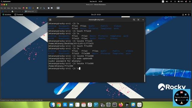026-searching files and directories, locate, grep, whereis, whatis Linux - Course 2024 смотреть онлайн