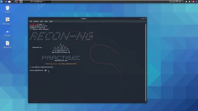 شرح recon-ng | ما هي اداة recon-ng وكيف تعمل | recon-ng tutorial kali linux смотреть онлайн