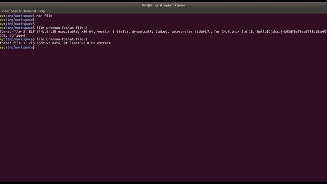 file | Linux | Command Line смотреть онлайн