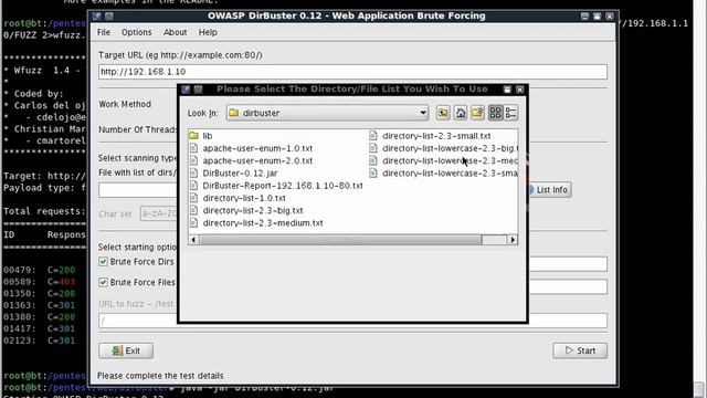 Directory Brute Forcing смотреть онлайн