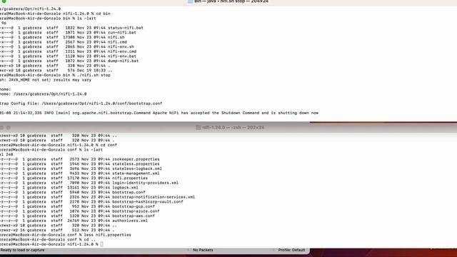Apache Nifi : (Nivel 0) Instalación en Linux/Mac un server, https, single user смотреть онлайн