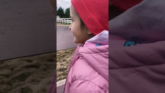 Соревнования по верховой езде смотреть онлайн